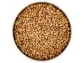 Free Cooking Spices Stock Photo - 1356550
