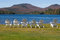 Free Chairs By Lake Royalty Free Stock Images - 1352659