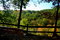 Free Hell Hollow Scenic Overlook Royalty Free Stock Photography - 1353707