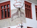 Free The House With Stag Royalty Free Stock Image - 1360626