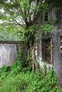 Free Abandoned House In A Jungle Royalty Free Stock Photos - 1367598