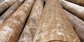 Free Log Pile Royalty Free Stock Photo - 1368995