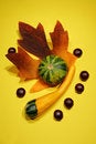 Free Gourds With Leaves Stock Image - 1369631