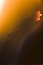 Free Candle Flame Royalty Free Stock Images - 1362109