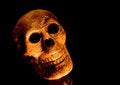 Free Spooky Skull Head Stock Photography - 1374812