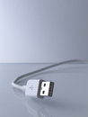 Free Usb Cable Stock Image - 1378031