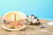 Free Seashell Royalty Free Stock Photography - 13702017