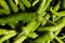 Free Green Peppers Royalty Free Stock Photos - 13755828