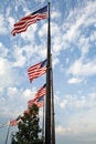 Free American Flags Royalty Free Stock Photo - 13775445