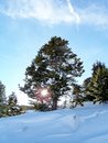 Free Stock Photo Of Colorado Winter Landscape Royalty Free Stock Photos - 1380368