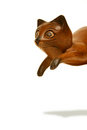 Free Perpetual Pounce Royalty Free Stock Photo - 1382115