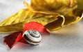 Free Shell And Leaves 2 Stock Images - 1383044