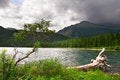 Free Green Lake, Log And Mountains. Stock Images - 1387374