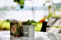 Free Relaxation Royalty Free Stock Image - 13810166