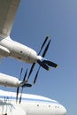 Free Heavy Cargo Plane Royalty Free Stock Photo - 1390205