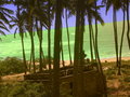 Free Coconut Tree And Sea. Stock Images - 1393154