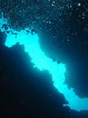 Free Bubbling To The Surface Royalty Free Stock Images - 1396339