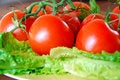Free Lovely Tomatoes Stock Photos - 1398233