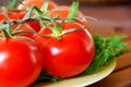 Free Lovely Tomatoes Stock Images - 1398234