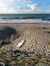 Free Surfboard On The Shore Royalty Free Stock Image - 140166