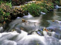 Free Rapids Stock Photo - 144550