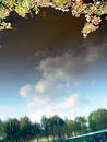 Free Clouds Reflected In The Pond Stock Image - 144911