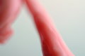Free Wax 01 Stock Image - 1400611