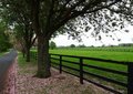 Free Irish Meadow Royalty Free Stock Photo - 1403135