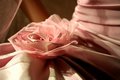 Free Rose Decoration Royalty Free Stock Image - 1406216