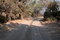 Free Off Road!! Royalty Free Stock Photos - 1401038