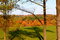 Free The Hills Are Alive With Color Royalty Free Stock Photography - 1408567