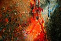 Free Unfinished Painting Stock Photo - 1415840