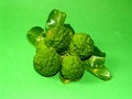 Free Citrus 23 Stock Images - 1419764