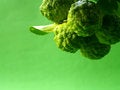 Free Citrus Fruit 4 Stock Photos - 1419873