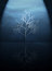 Free Tree In The Dark Royalty Free Stock Photos - 1410858