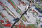 Free Empty Lot Peeling Paint, Trailer Park Royalty Free Stock Photos - 14187048