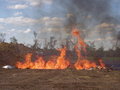 Free Burning Trash Pit Stock Photography - 1422432