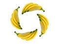 Free Circle Banana Stock Photography - 1428962