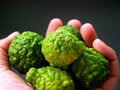 Free Citrus 38 Stock Images - 1429144