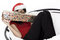 Free Cute Girl Hiding Beind Her Present Stock Image - 1420531