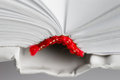 Free Open Book Stock Photos - 1430143