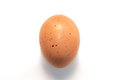 Free Brown Egg Royalty Free Stock Image - 1432016
