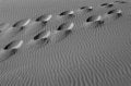 Free Footsteps In The Sand Dunes Stock Photography - 1436662