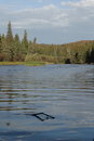 Free Washington Creek Stock Photos - 1437363