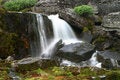 Free Creek 4 Royalty Free Stock Photo - 1438415