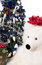 Free Christmas Tree 5 Stock Image - 1437911