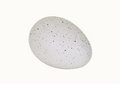 Free Isolated Egg Royalty Free Stock Image - 1440726