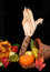 Free Cornucopia Stock Image - 1443001