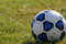 Free Soccer Ball Stock Photo - 1446460
