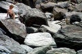 Free Boy On The Rocks Stock Photo - 1454250
